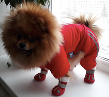 "Snowfall Adventure" Dog Winter Snow Boots