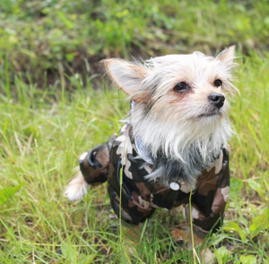 "Fly & Dry" Waterproof Dog Rain Jacket