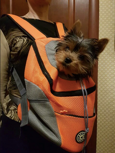 "Dog Around Town" Canine Backpack